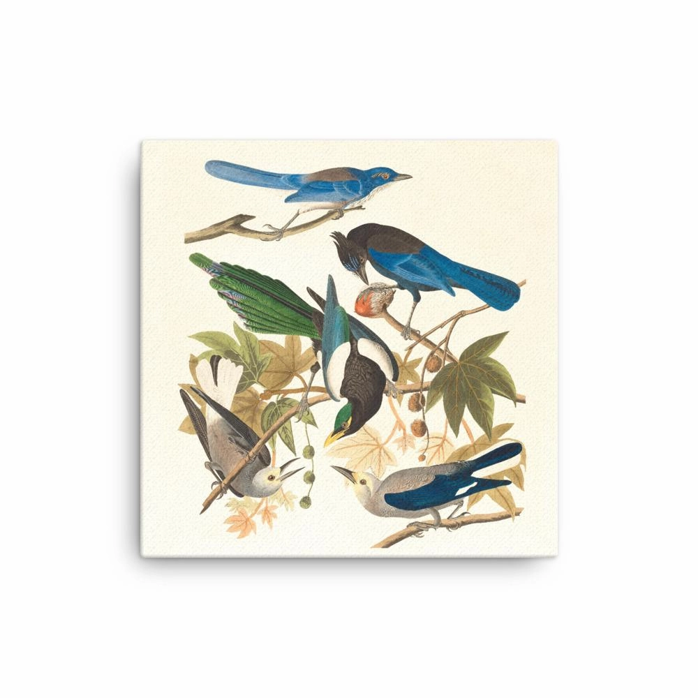 five birds on the branches - canvas