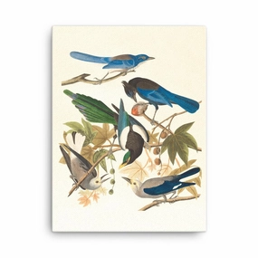 five birds on the branches - canvas canvas mural art