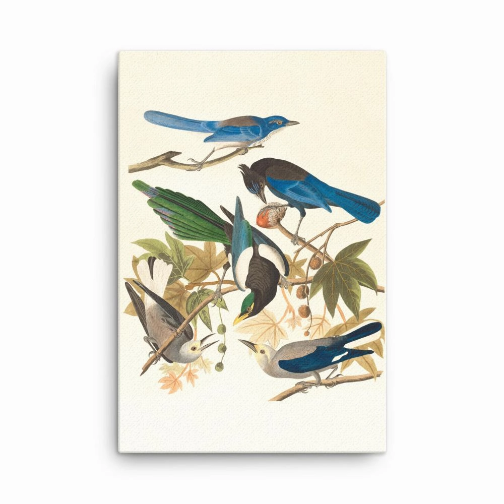 five birds on the branches - canvas