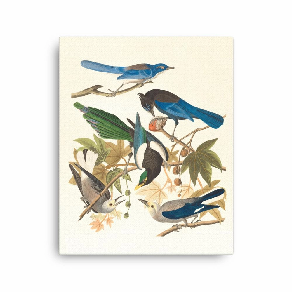 five birds on the branches - canvas