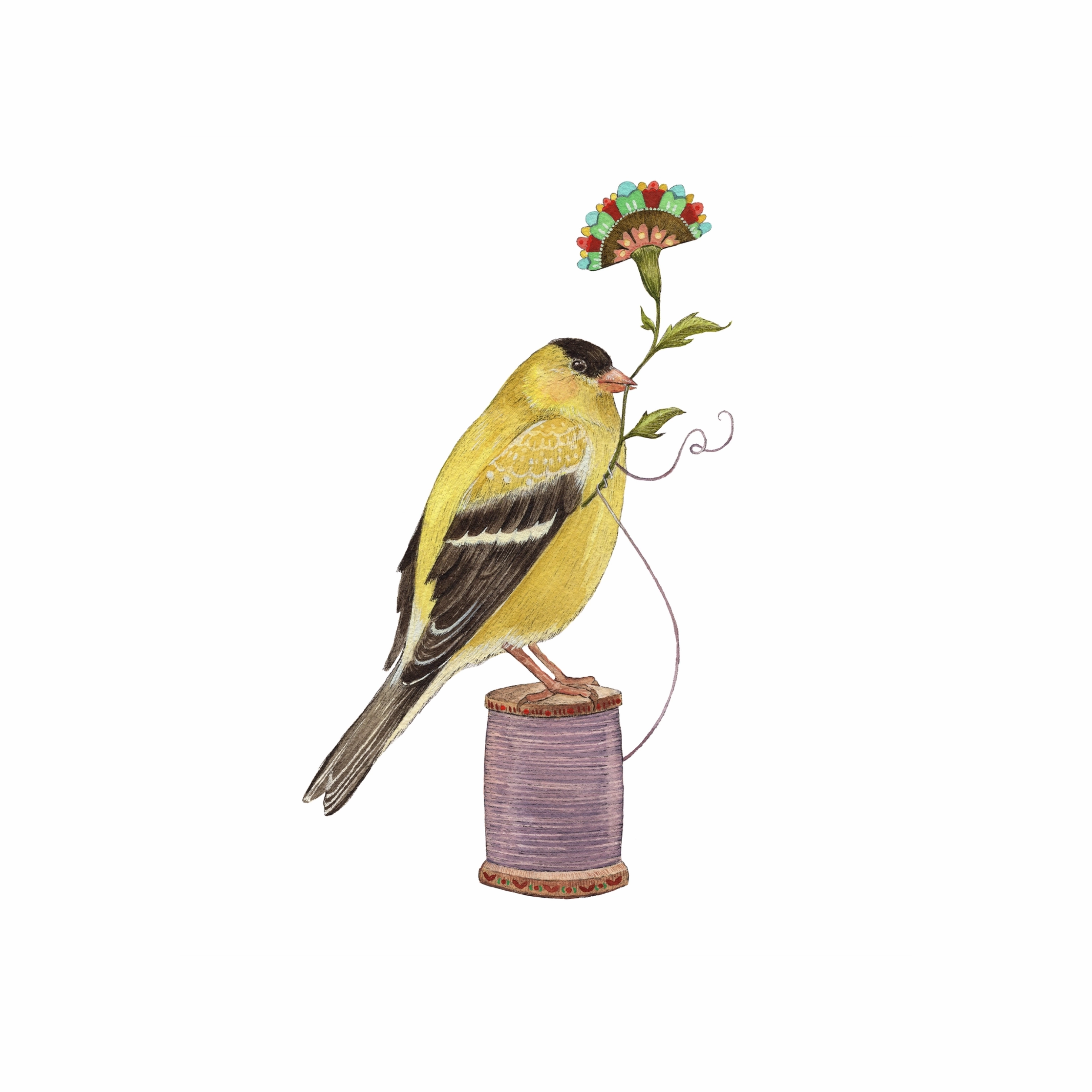 Floral Finch Art Print framed wall decor