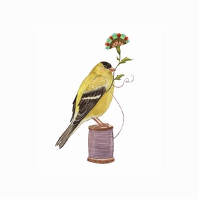 Floral Finch Art Print framed wall decor