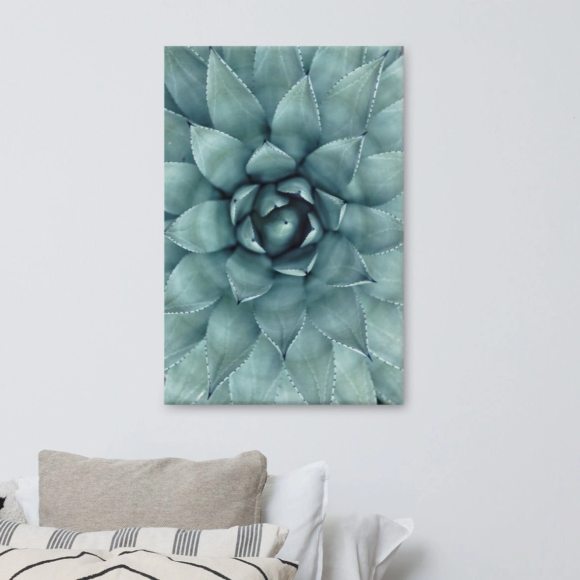 Flower Cactus - Canvas
