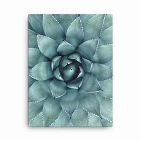 Flower Cactus - Canvas canvas mural art