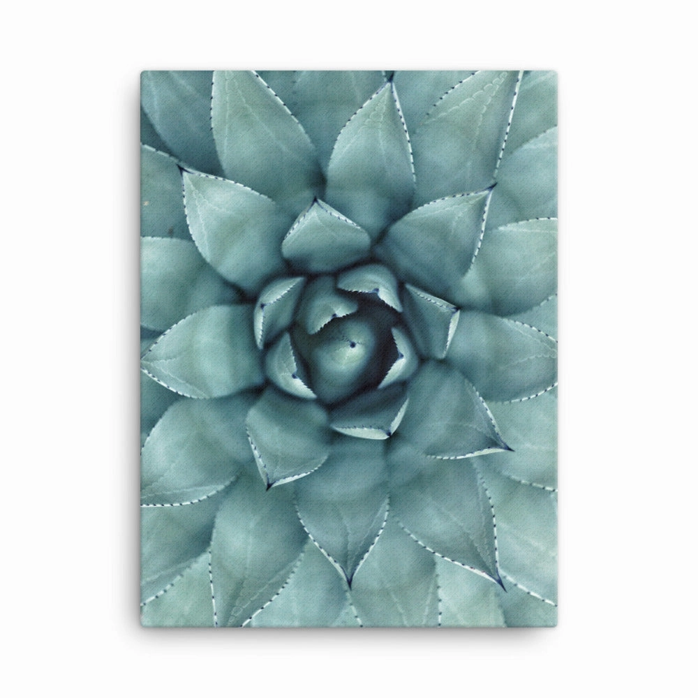 Flower Cactus - Canvas canvas mural art
