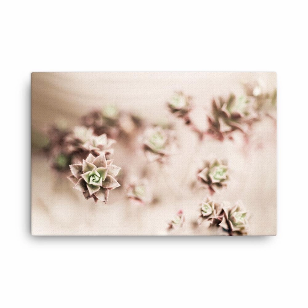 Flower Cactus - Leinwand