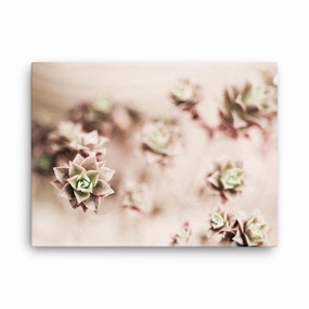 Flower Cactus - Leinwand canvas mural art