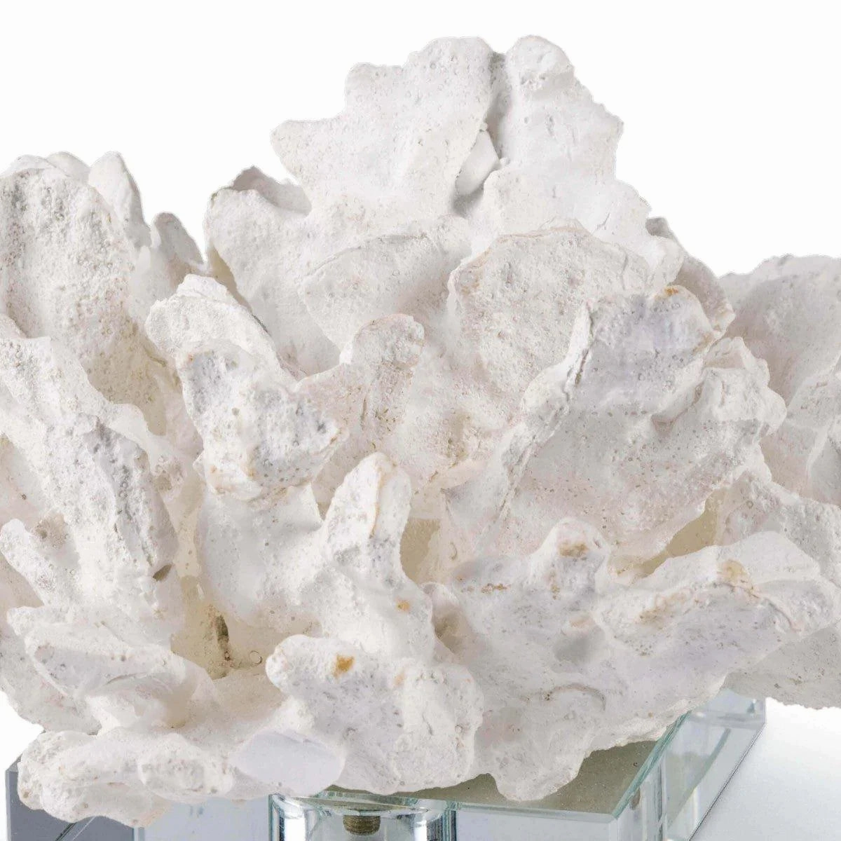Flower Coral On Crystal Base (White)