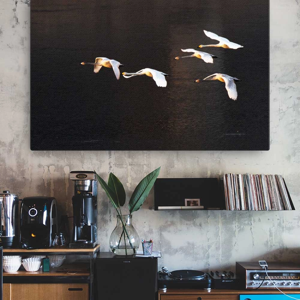 Flying swans - canvas