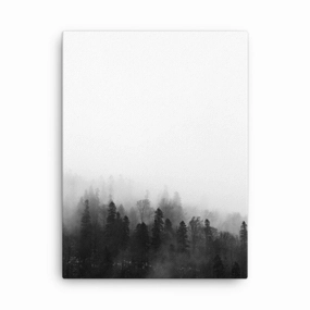 Forest in Fog - Canvas canvas mural art