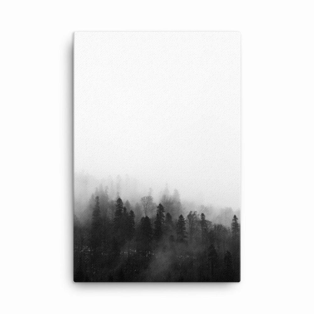 Forest in Fog - Canvas