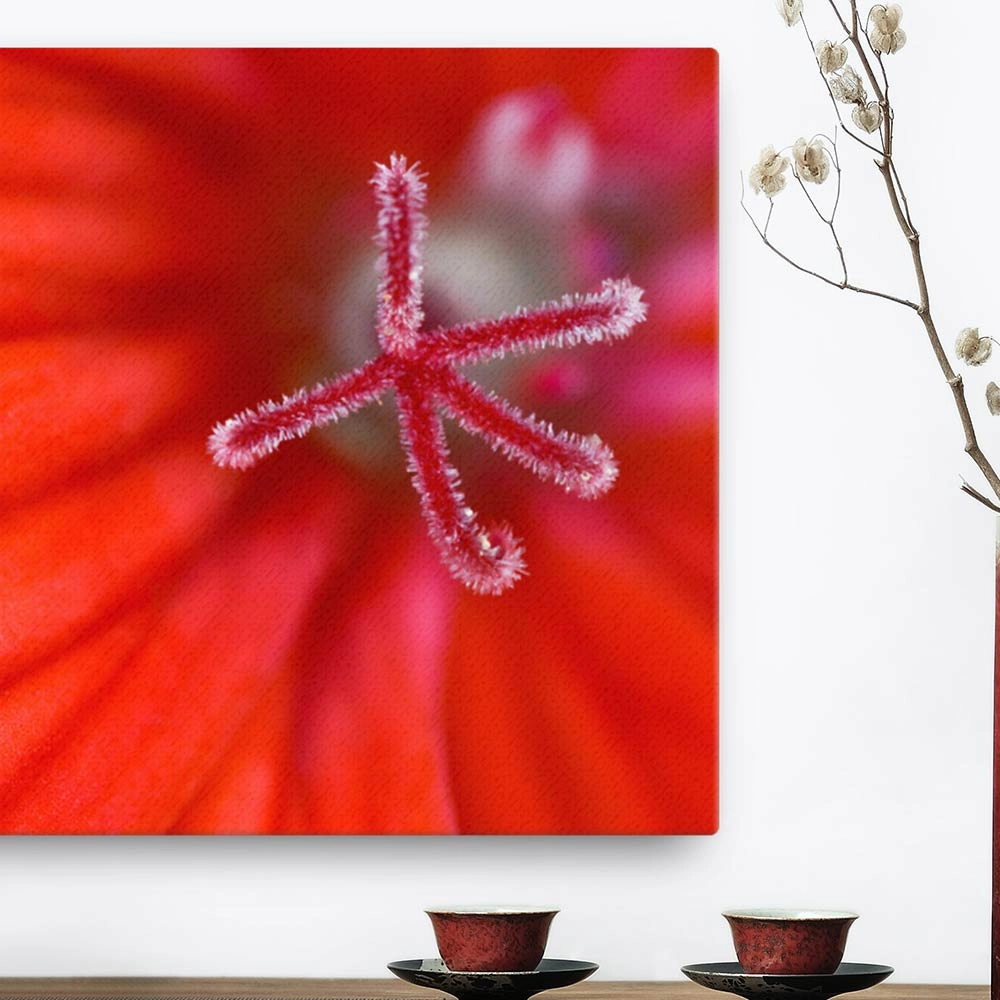 Geranium - canvas