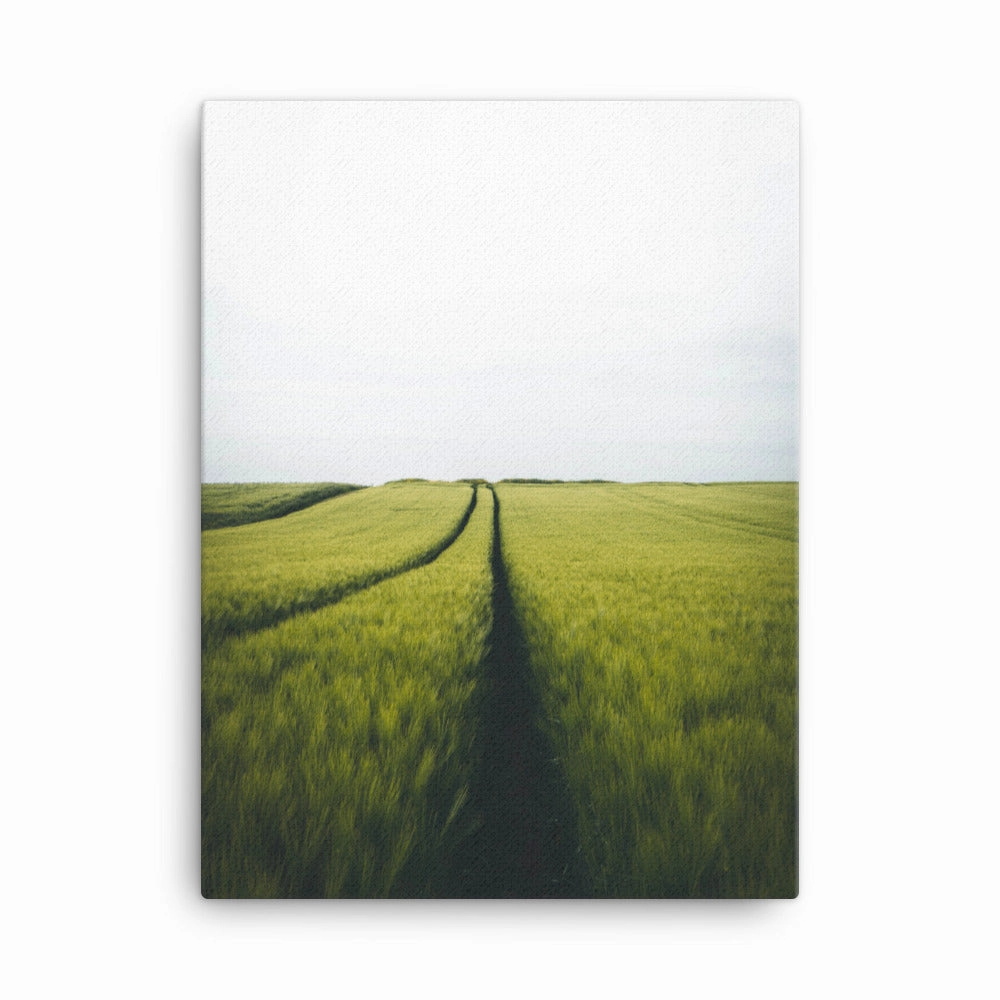 Gerstenfeld barley field - Leinwand canvas mural art