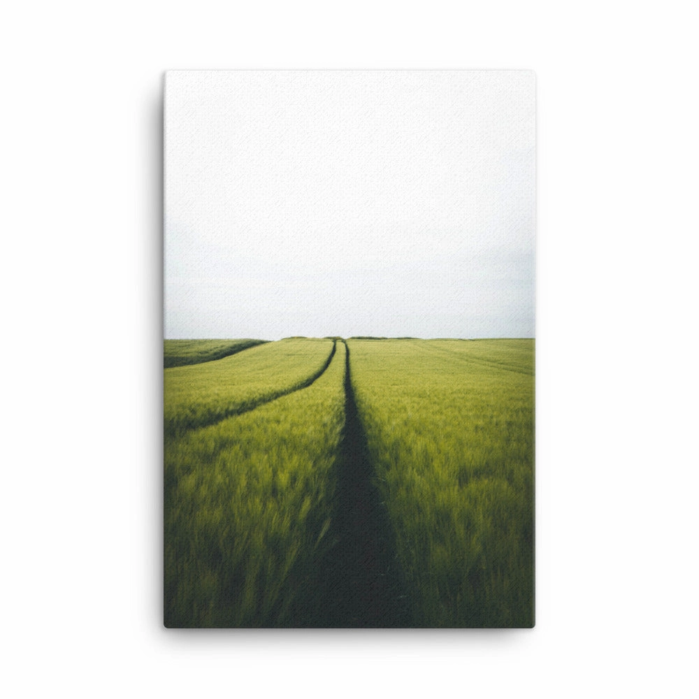Gerstenfeld barley field - Leinwand
