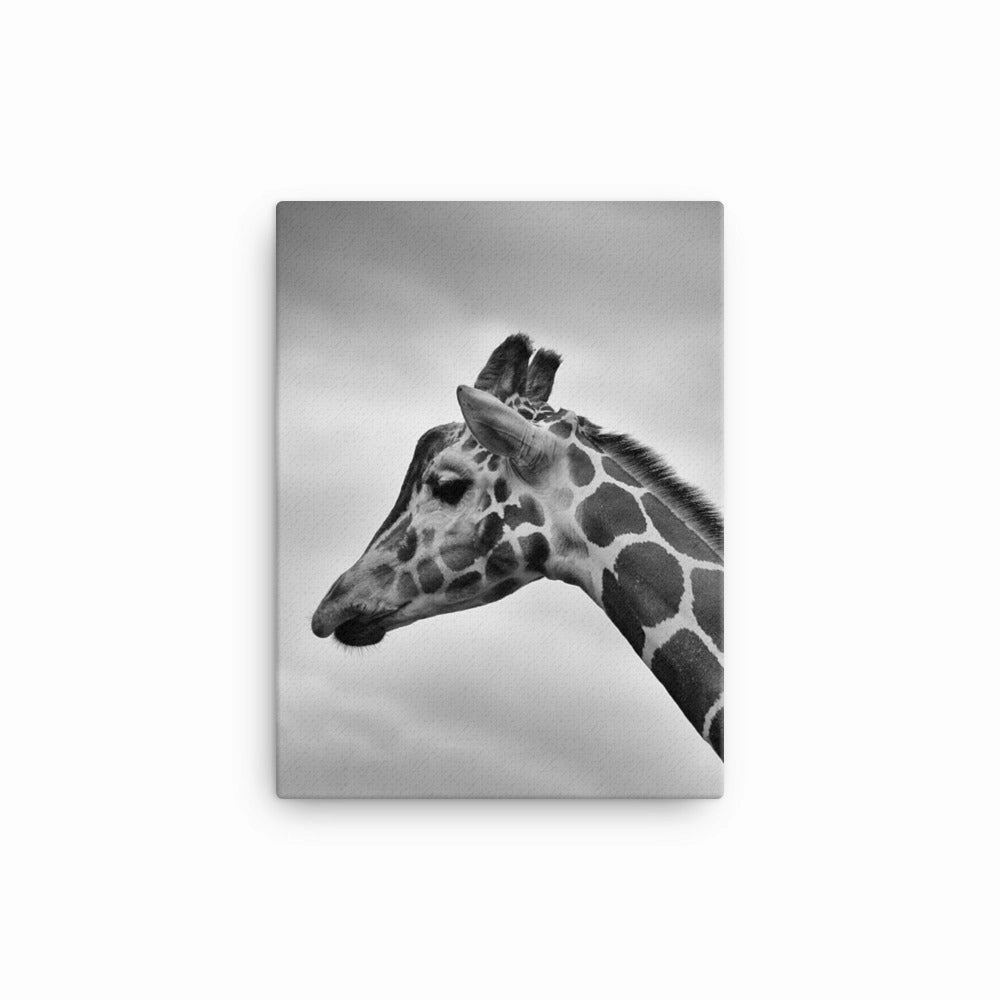 Giraffe - Canvas
