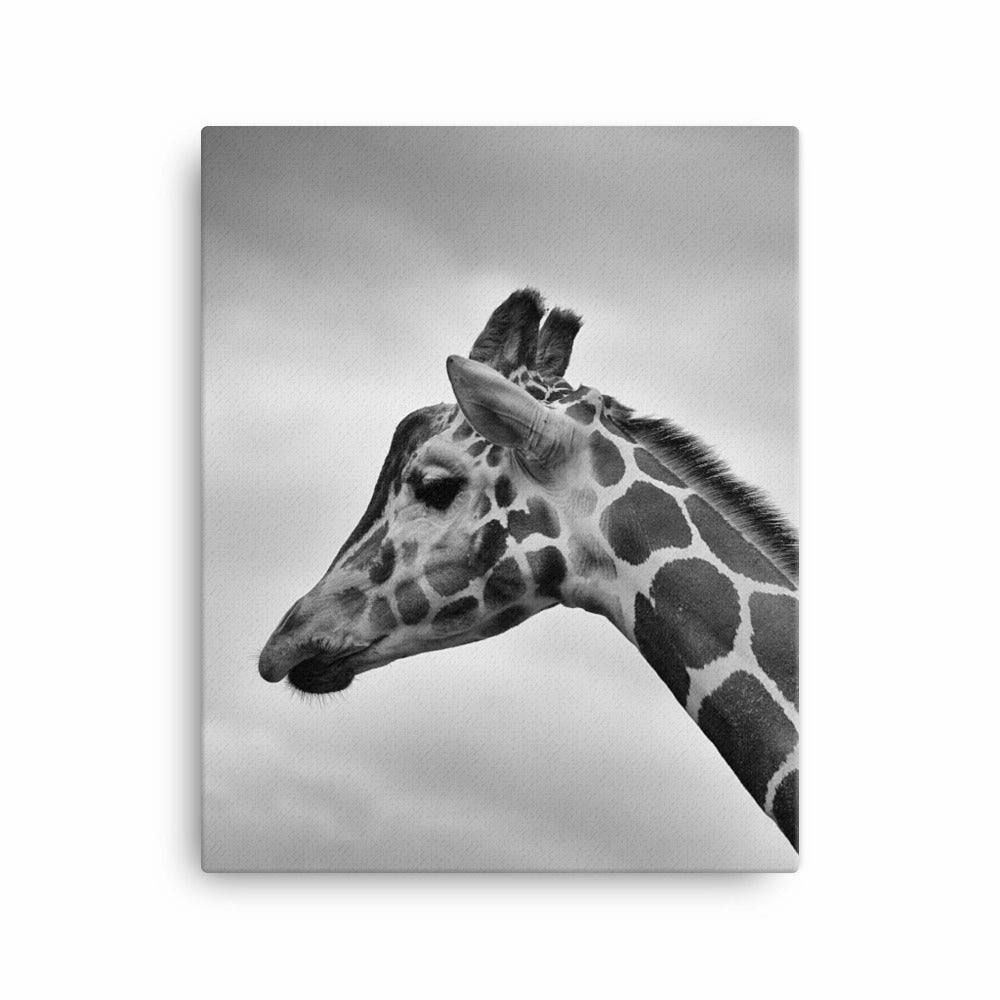 Giraffe - Canvas