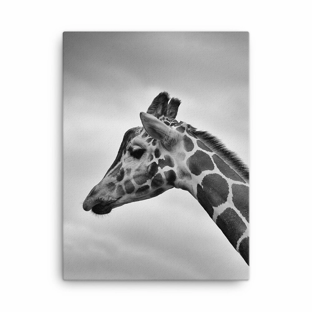 Giraffe - Canvas canvas mural art