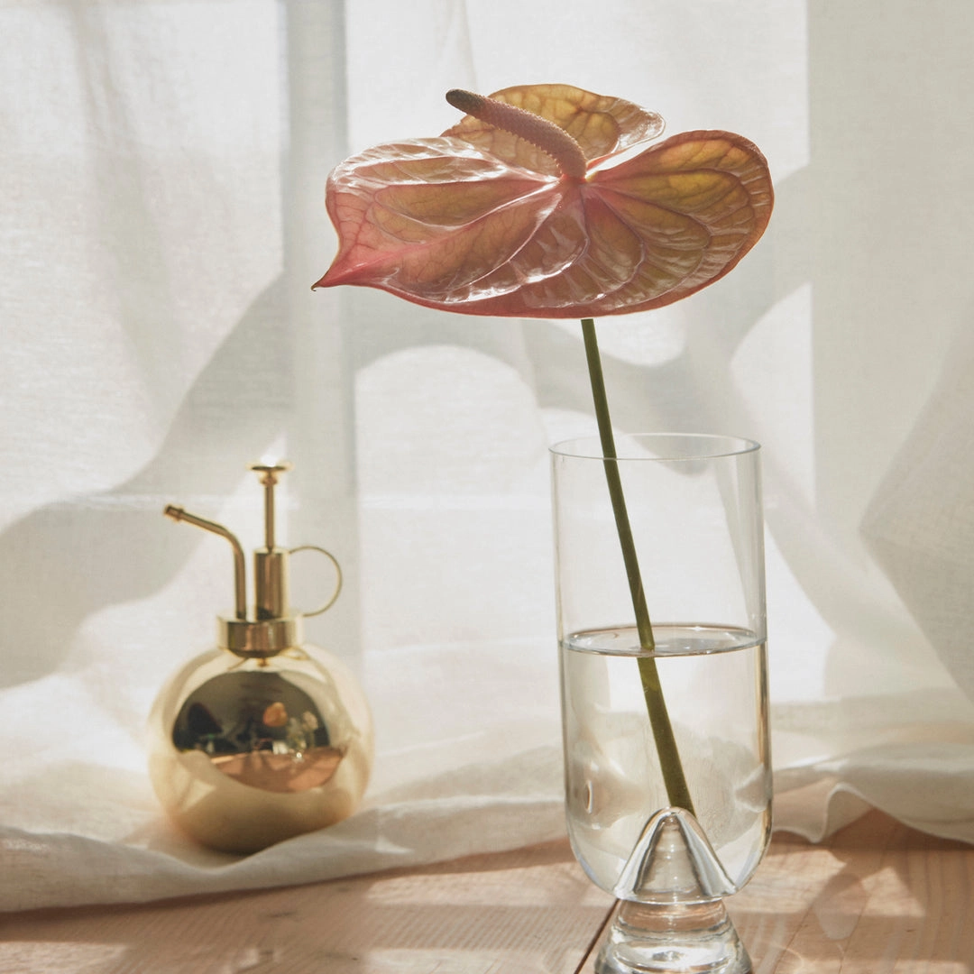 Globe Flower Mister (Order Quantity: 4)