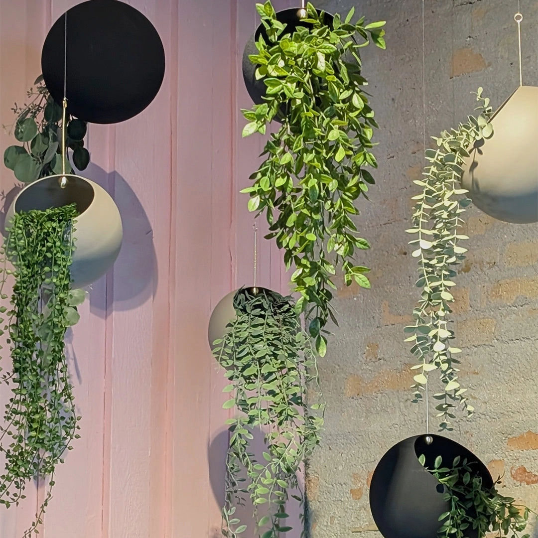 Globe Hanging Flowerpot - Large (Order Quantity: 2)