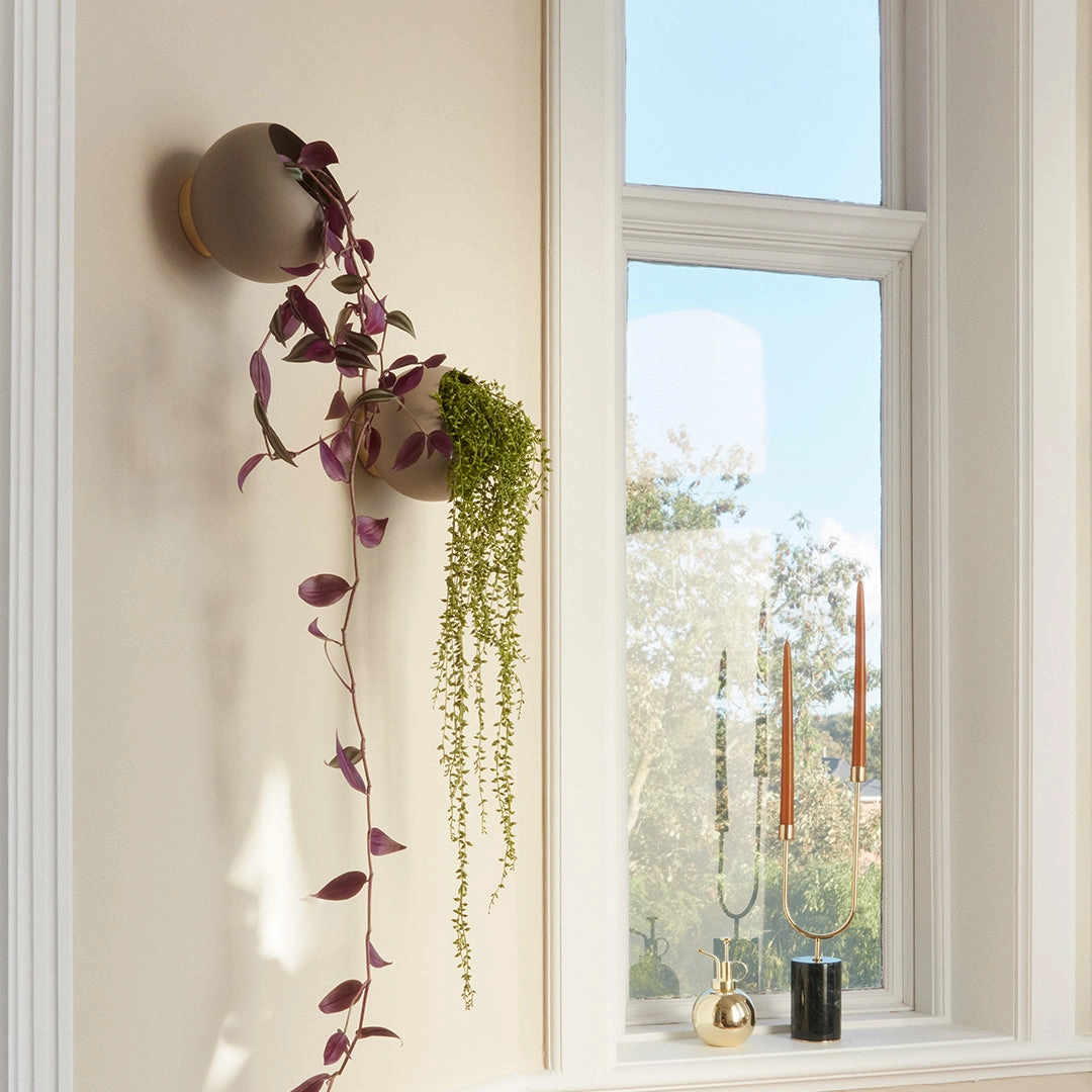 Globe Wall Flowerpot - Large (Order Quantity: 2)