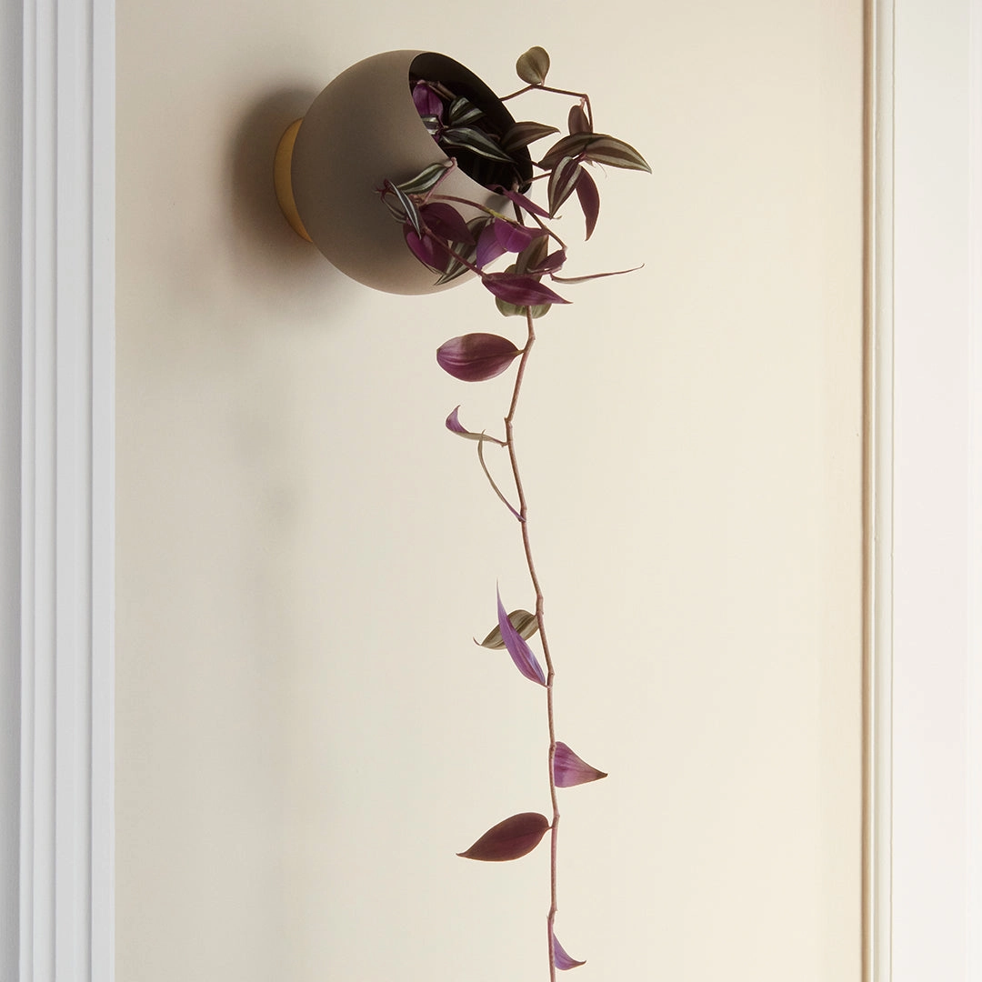 Globe Wall Flowerpot - Large (Order Quantity: 2)