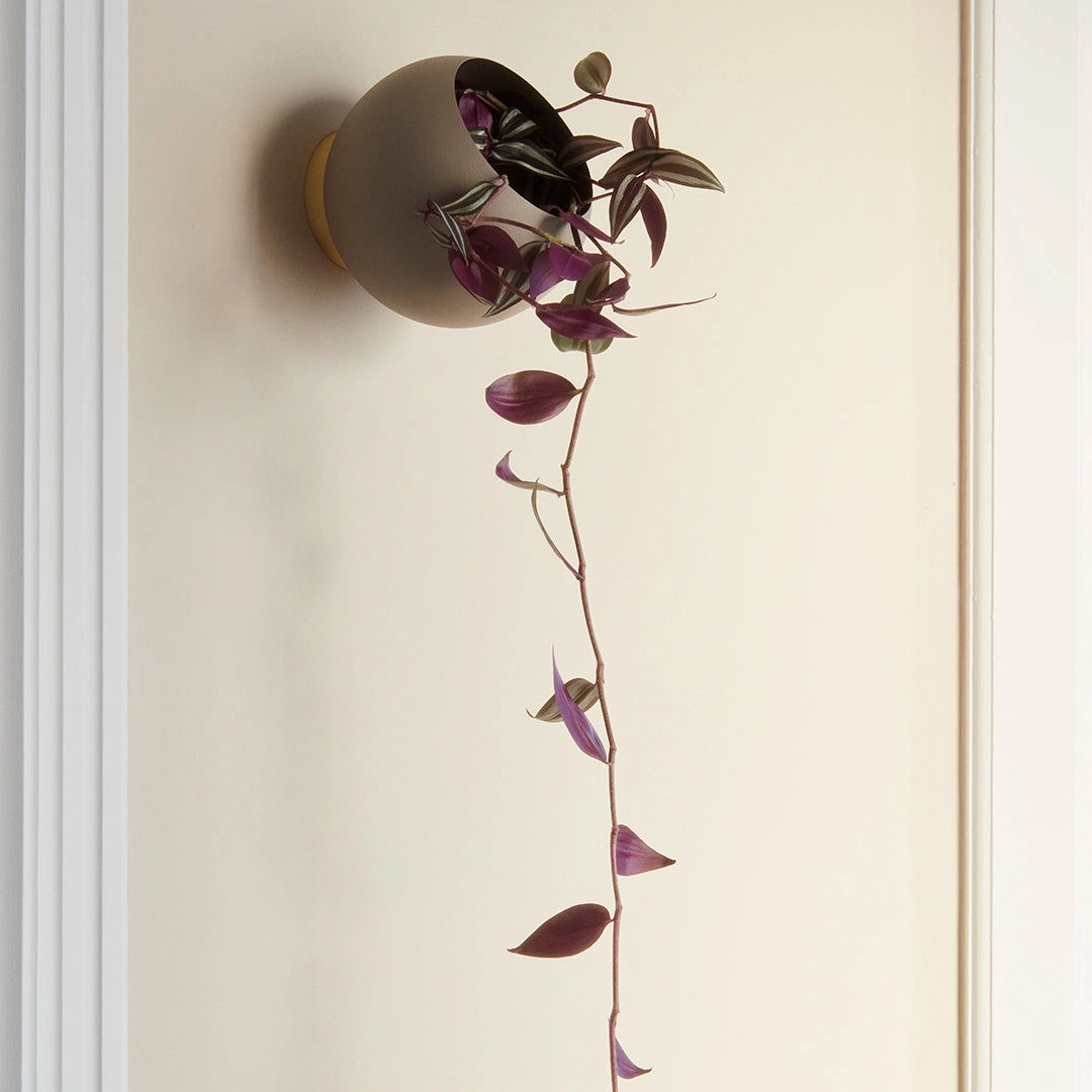 Globe Wall Flowerpot - Small (Order Quantity: 4)