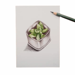 Graptoveria Succulent Art Print framed wall decor