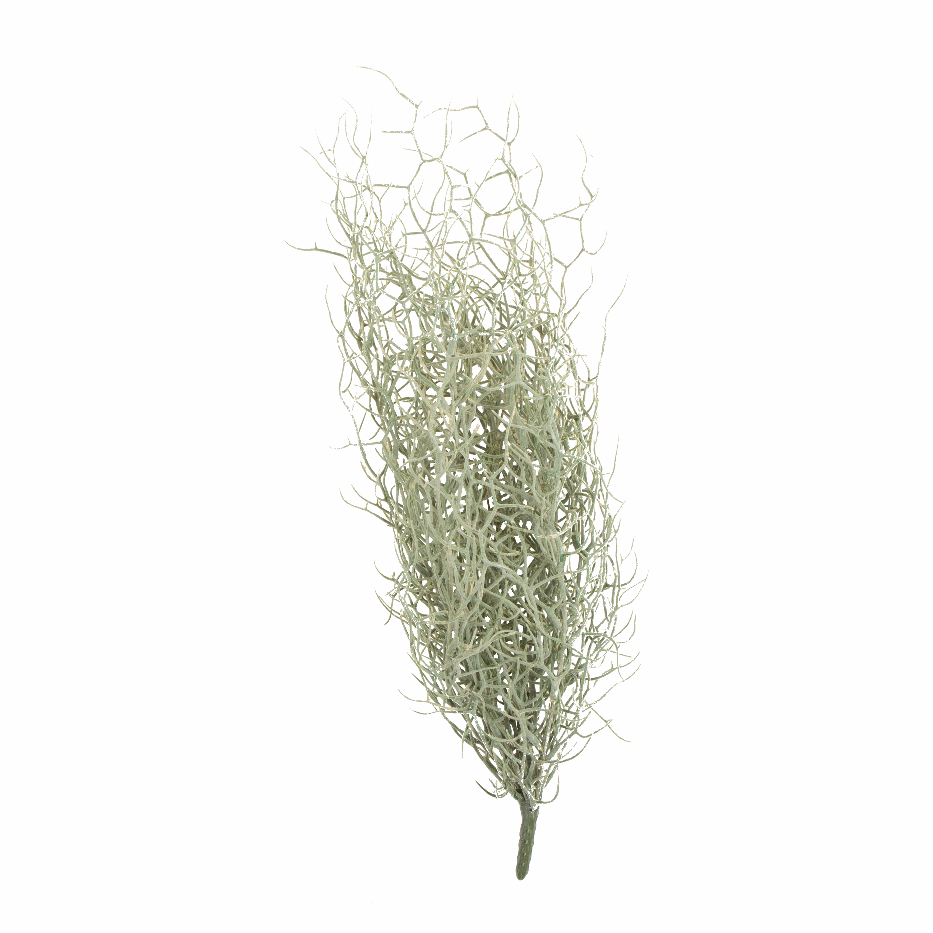 Grass Bush Stem elegant wall decor