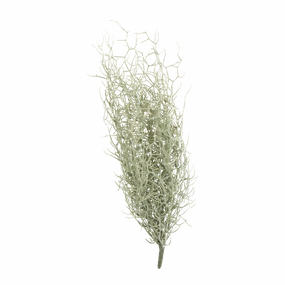 Grass Bush Stem elegant wall decor