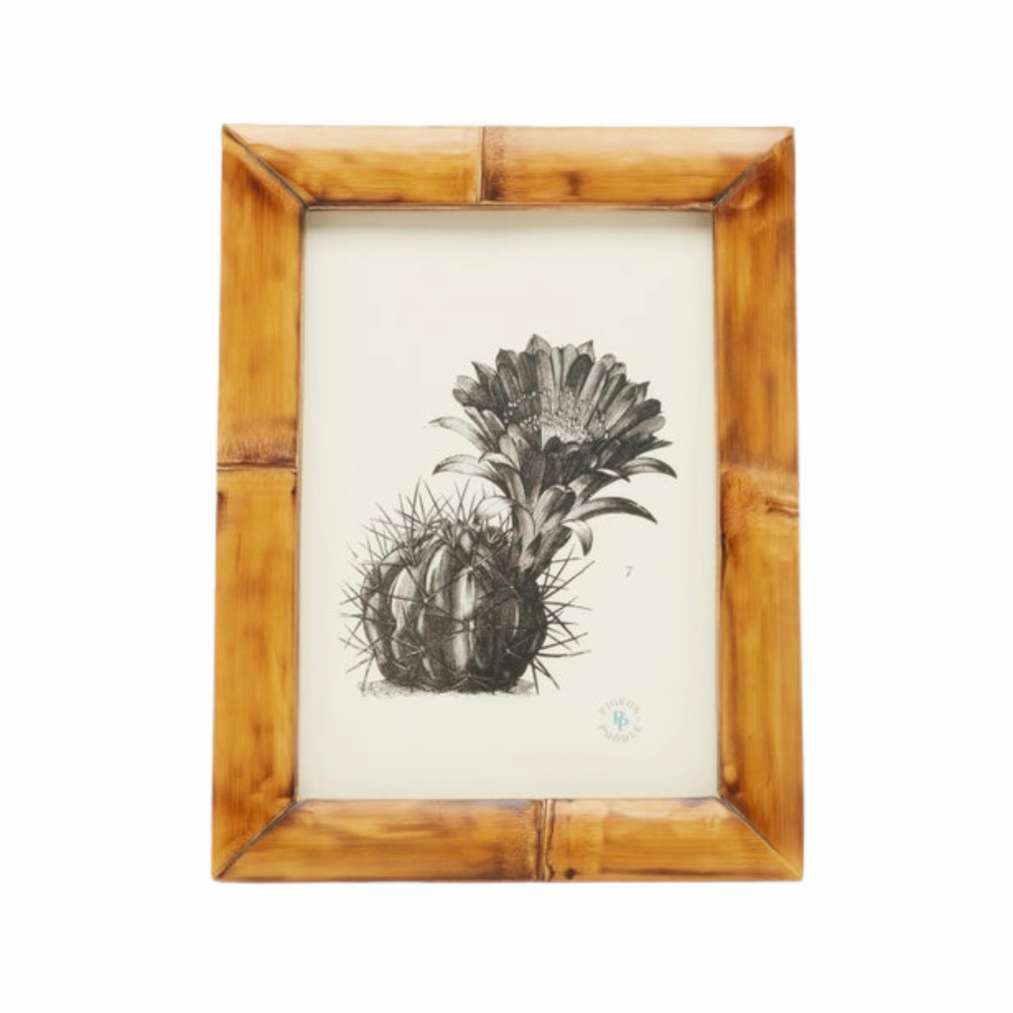 Greely Bamboo Frames