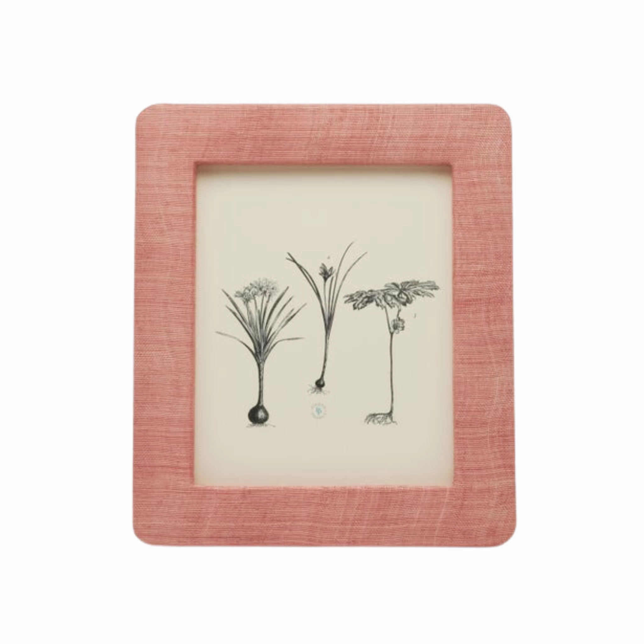 Halle Abaca Frames