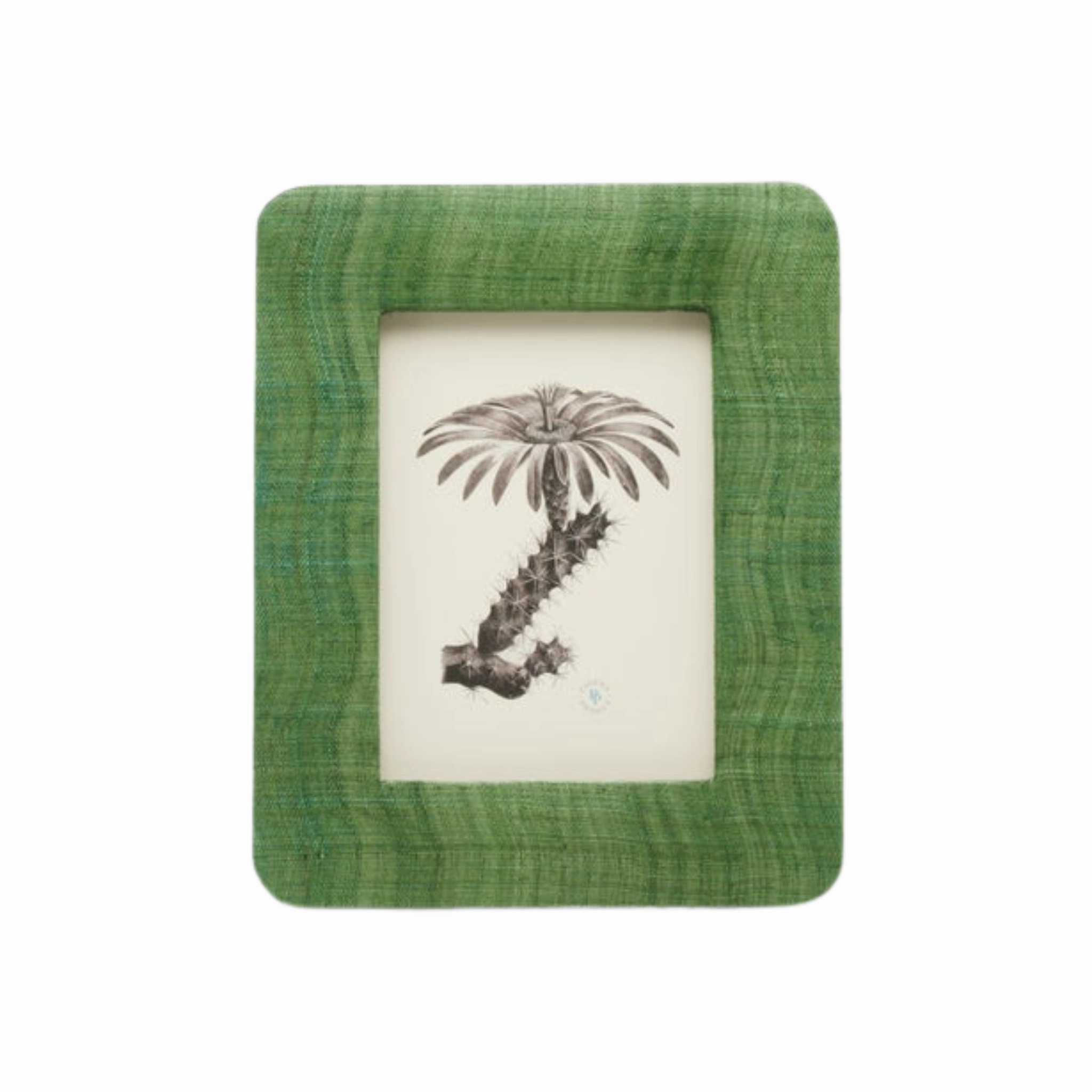 Halle Abaca Frames