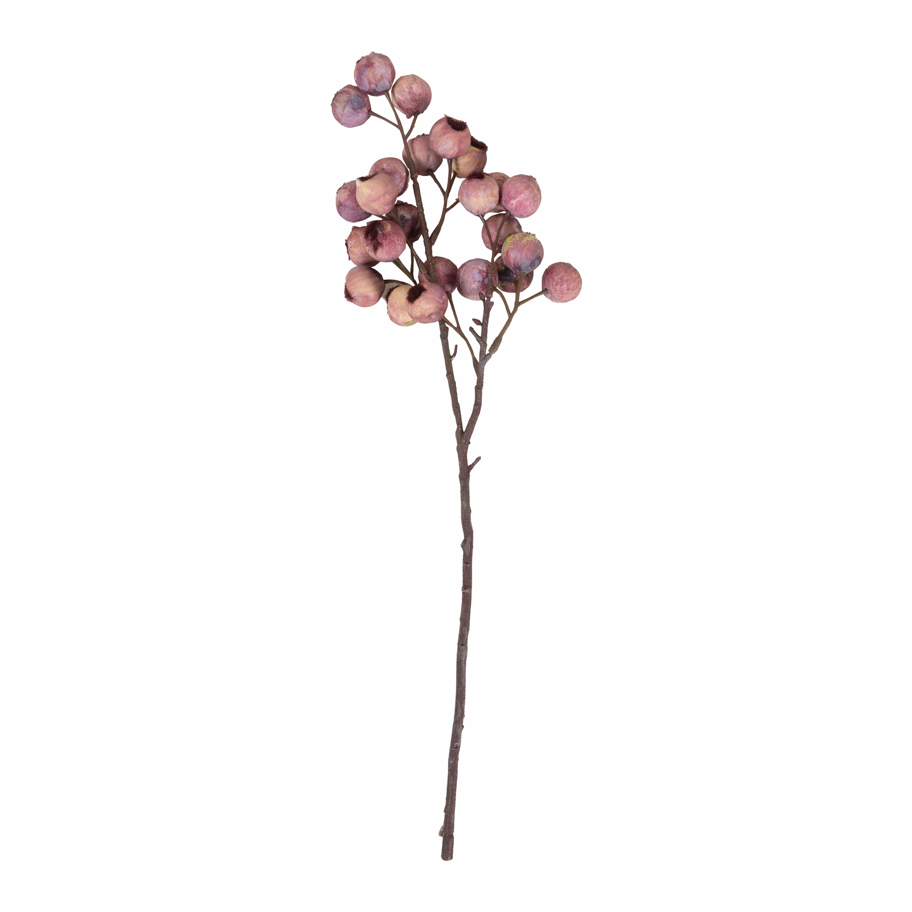 Hawthorn Berry Stem elegant wall decor