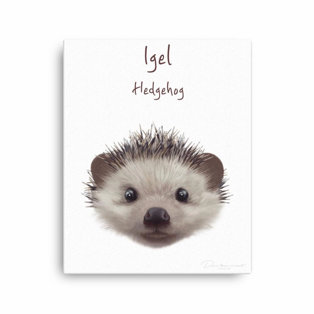 hedgehog - canvas
