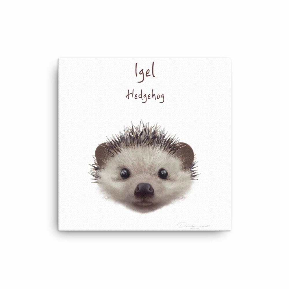 hedgehog - canvas