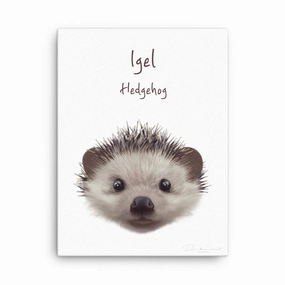 hedgehog - canvas canvas mural art
