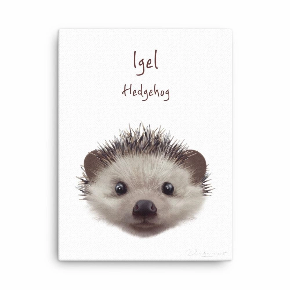 hedgehog - canvas canvas mural art