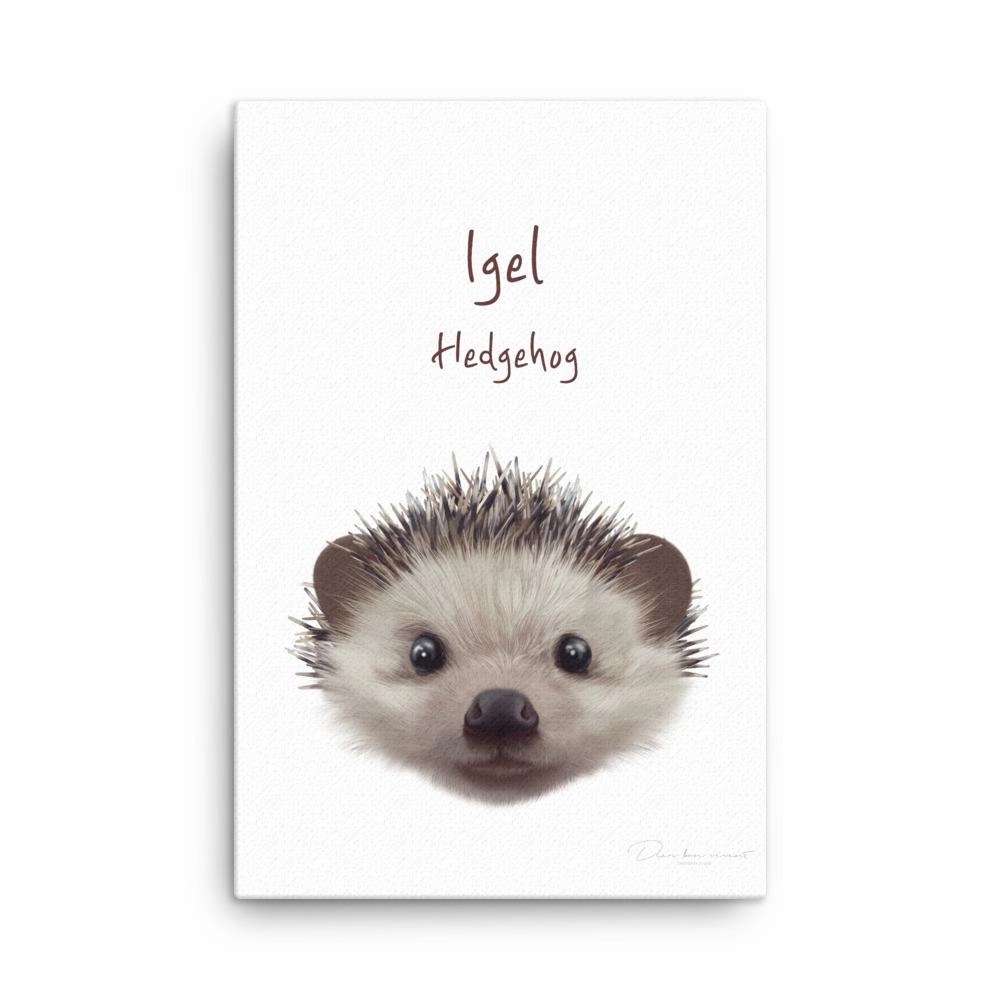 hedgehog - canvas