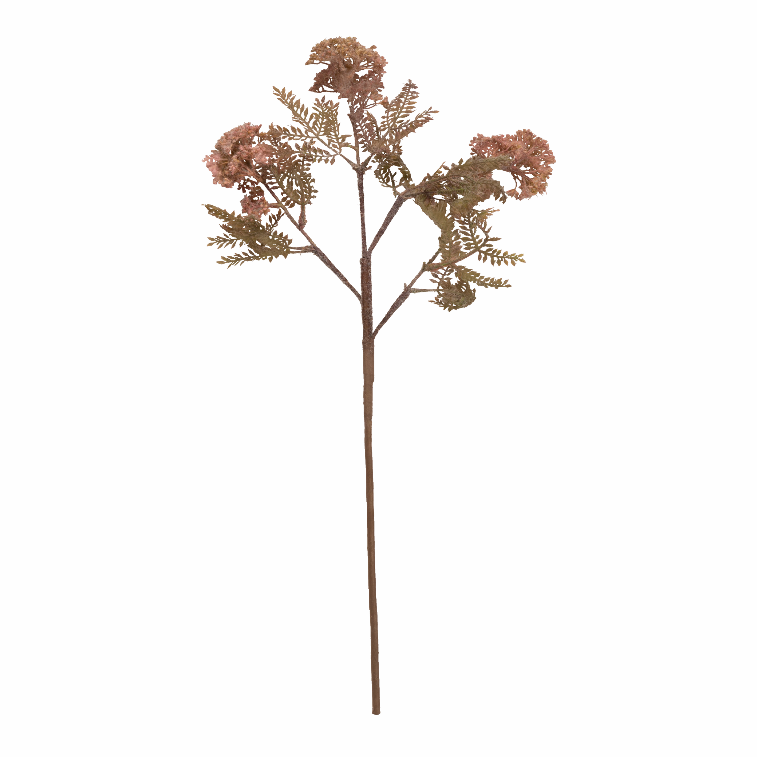 Hemlock Stem elegant wall decor