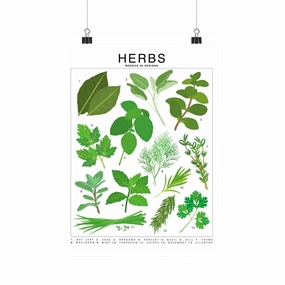 Herbs Species Id Chart - Botanical Garden Art Print framed wall decor