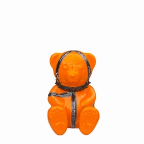 HERMS  ORANGE BEAR dreamcatcher wall hanging