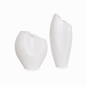 Horn Vase elegant wall decor