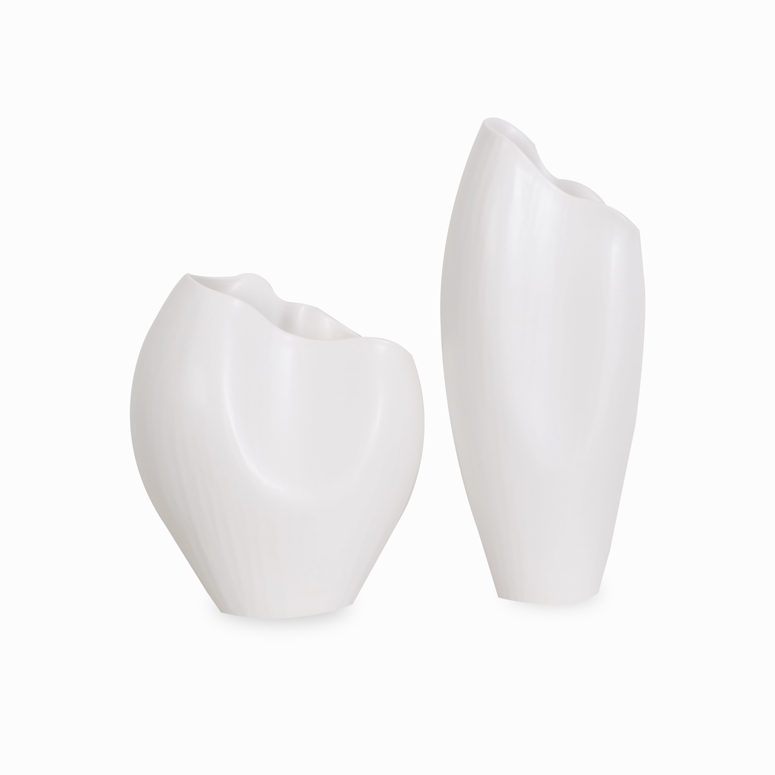 Horn Vase elegant wall decor