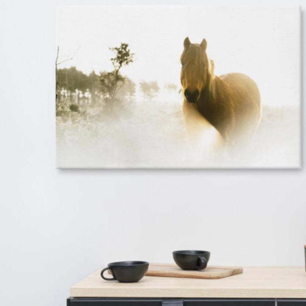 Horse in a dream - canvas