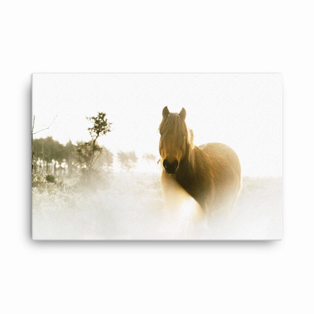 Horse in a dream - canvas