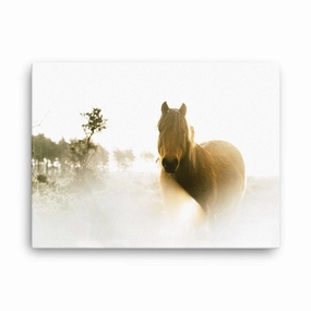 Horse in a dream - canvas canvas mural art