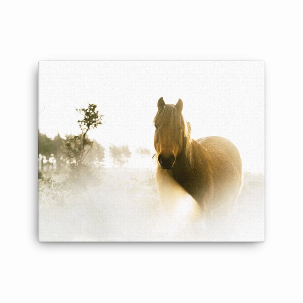 Horse in a dream - canvas
