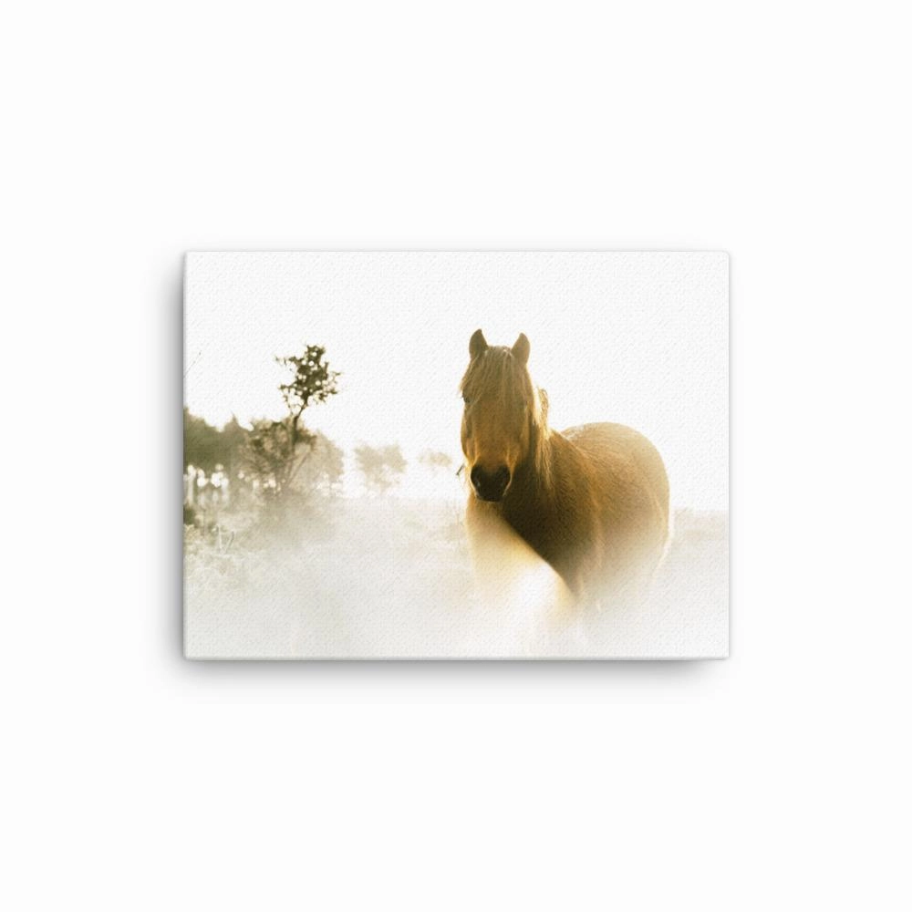 Horse in a dream - canvas