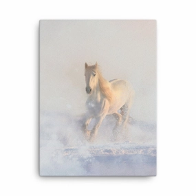Horse in the snow - canvas canvas mural art