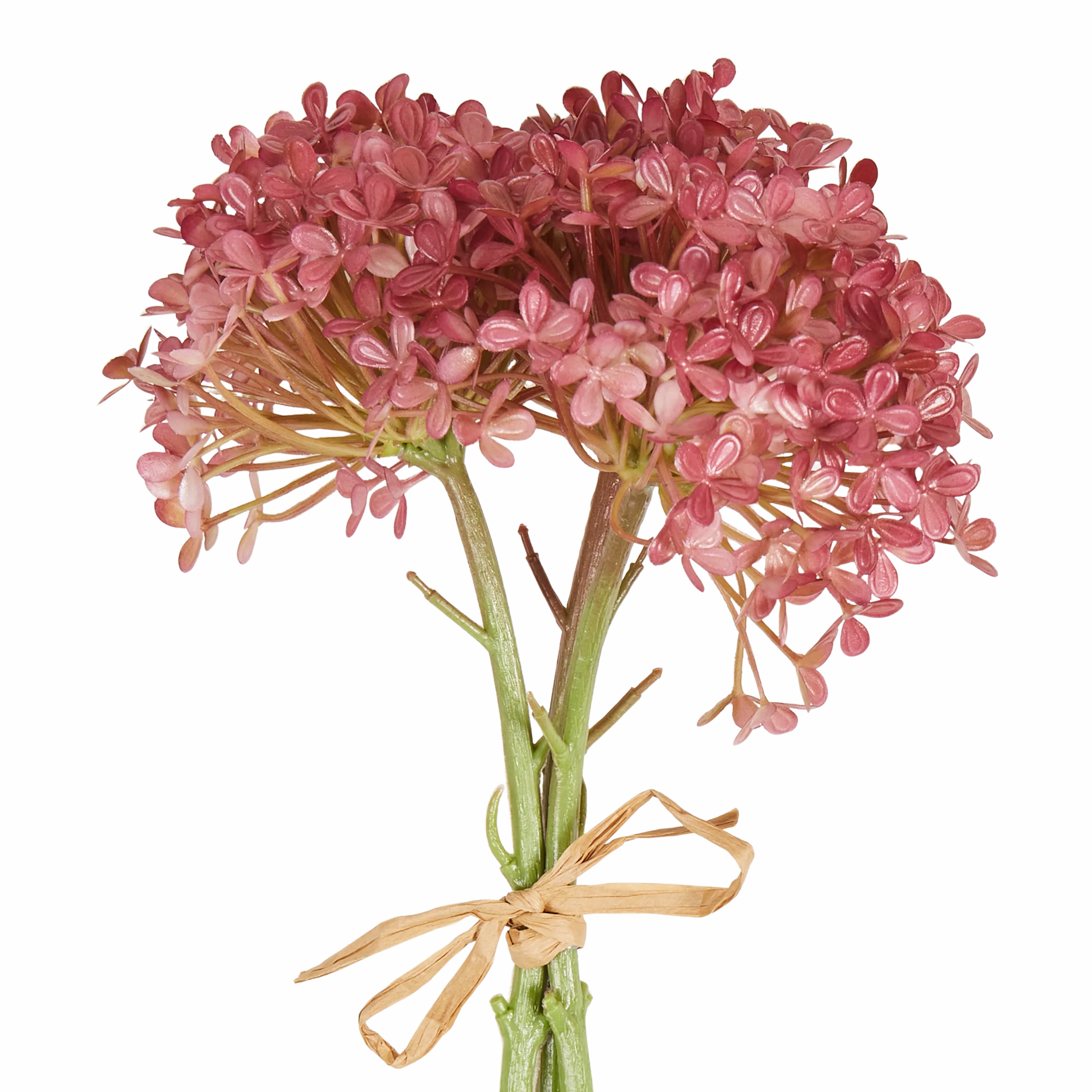 Hortensia Bunch
